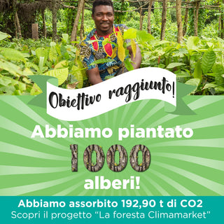 Climamarket - Obiettivo raggiunto: 1000 alberi entro il 2024 con Treedom