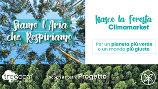 Progetto Treedom: pianta un albero nella foresta Climamarket
