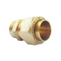 Raccordo a vite Austroflex Easy Tight FX a innesto Ø 20 attacco filettato 1" M